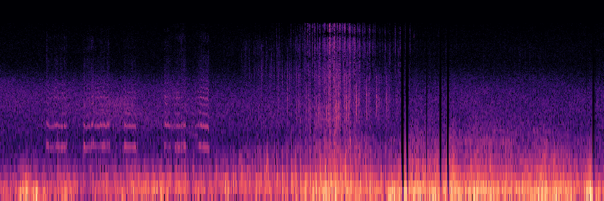 Spectrogram: Insect Wingbeats and Running Animal